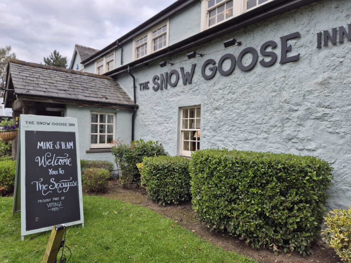 The Snow Goose