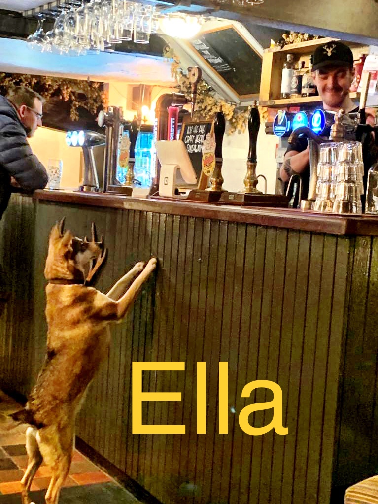 The Stag Inn