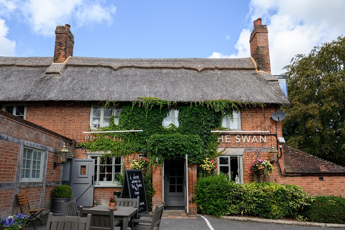 The Swan