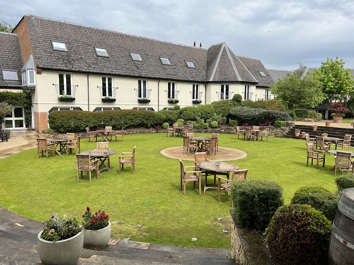 The Vineyard