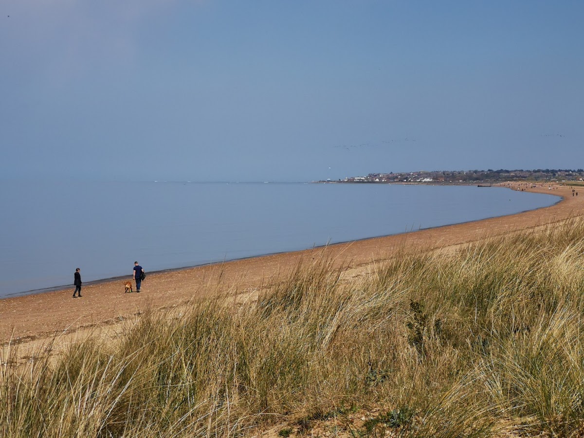 The West Norfolk