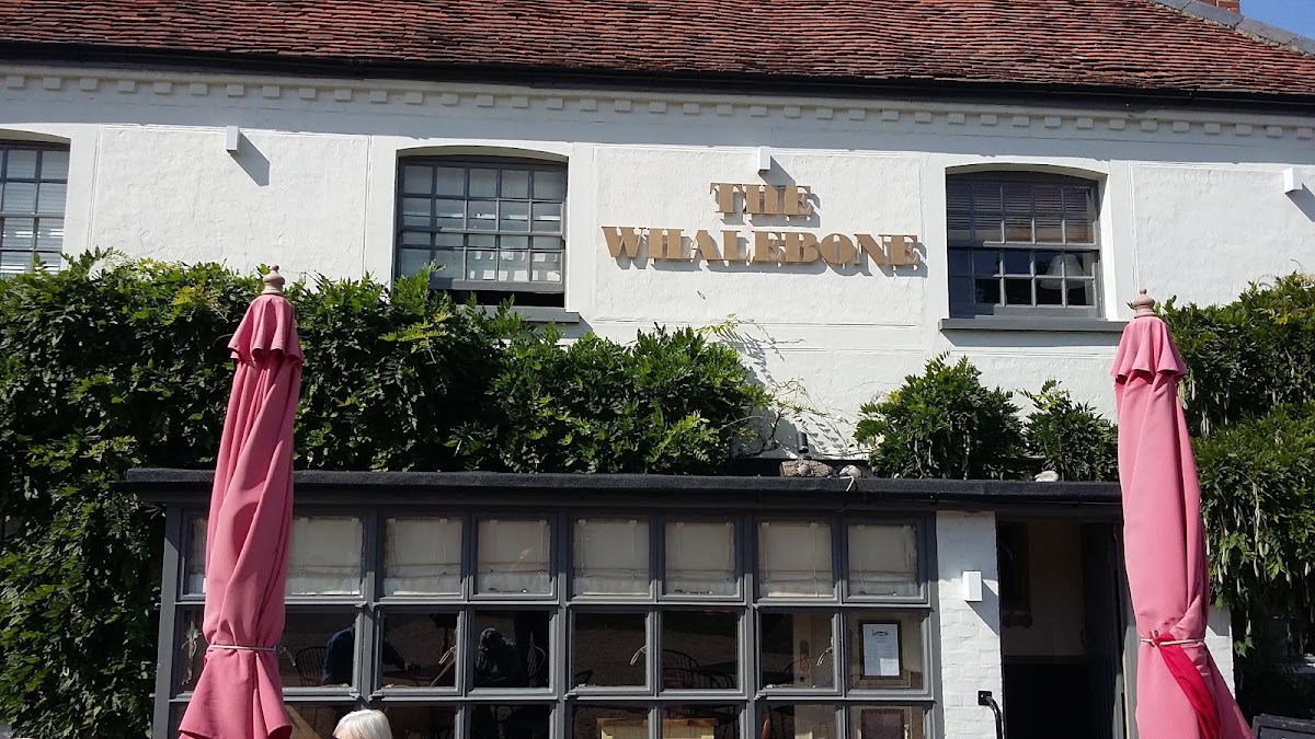 The Whalebone