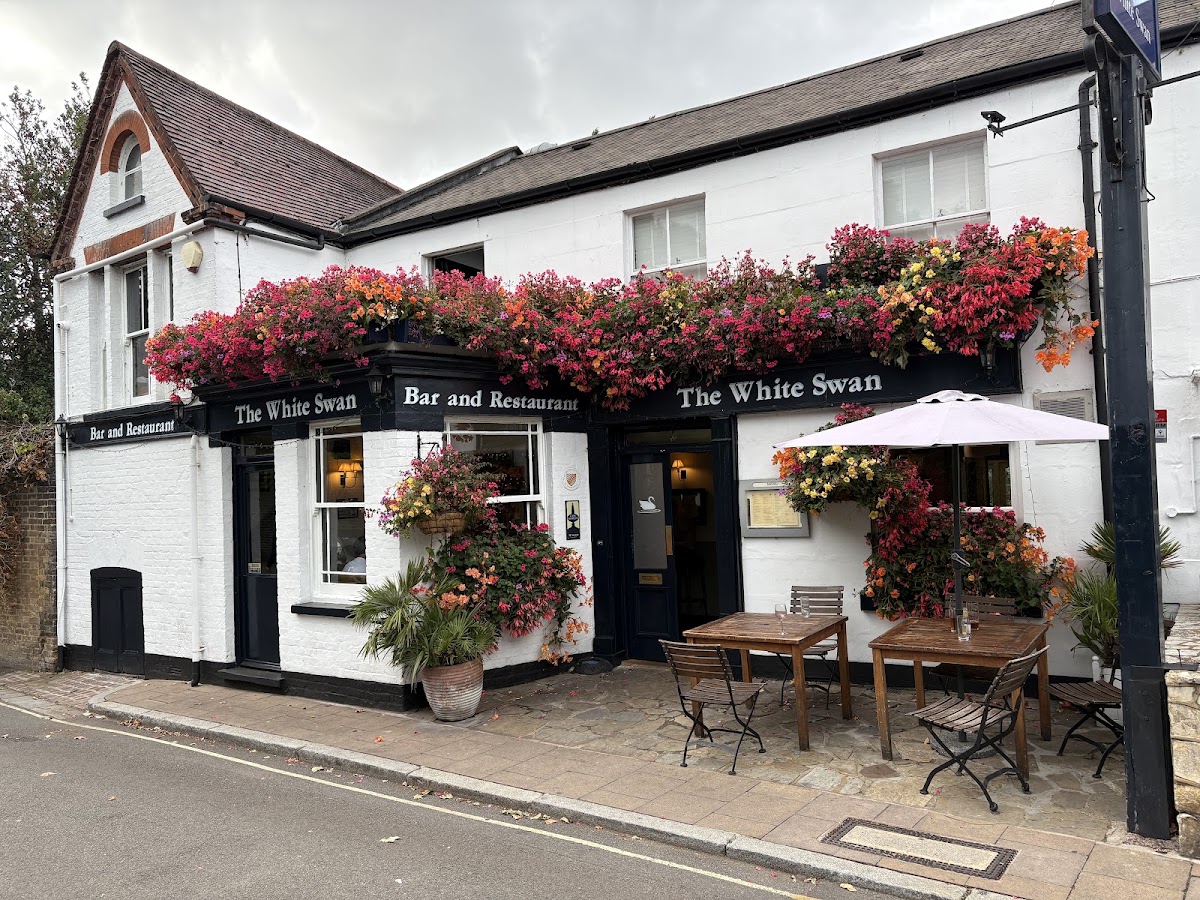 The White Swan