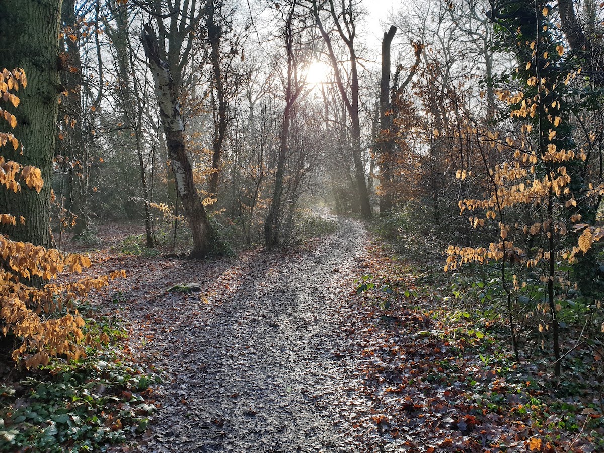 The Wick Nature Reserve