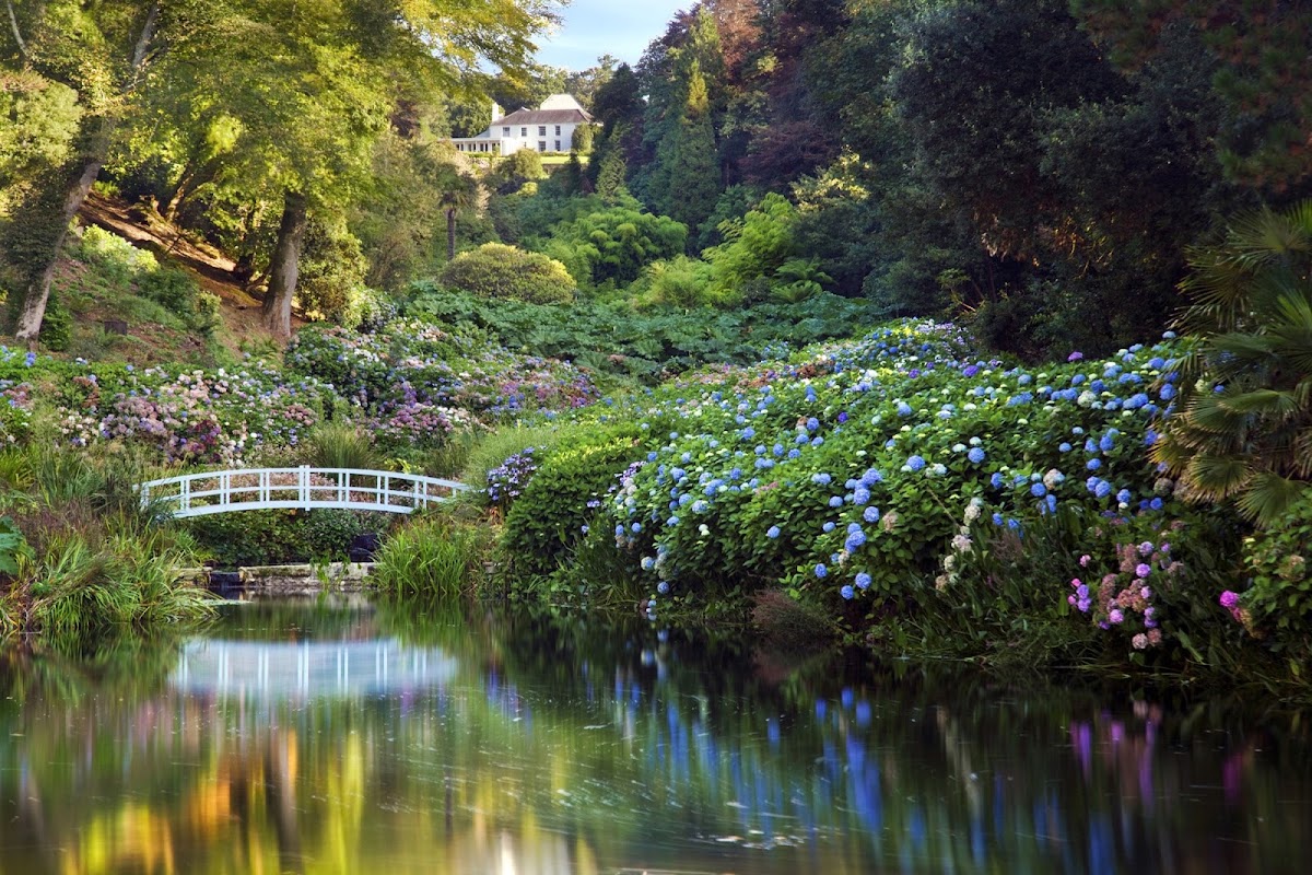 Trebah Garden