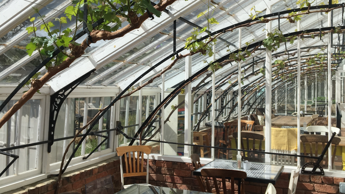 Vine House Cafe, Helmsley Walled Garden