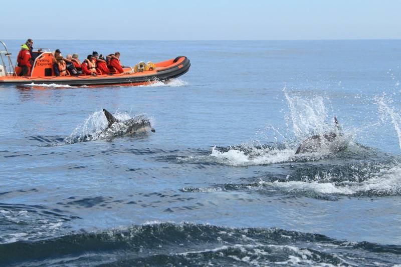 Voyages of Discovery Boat Trips