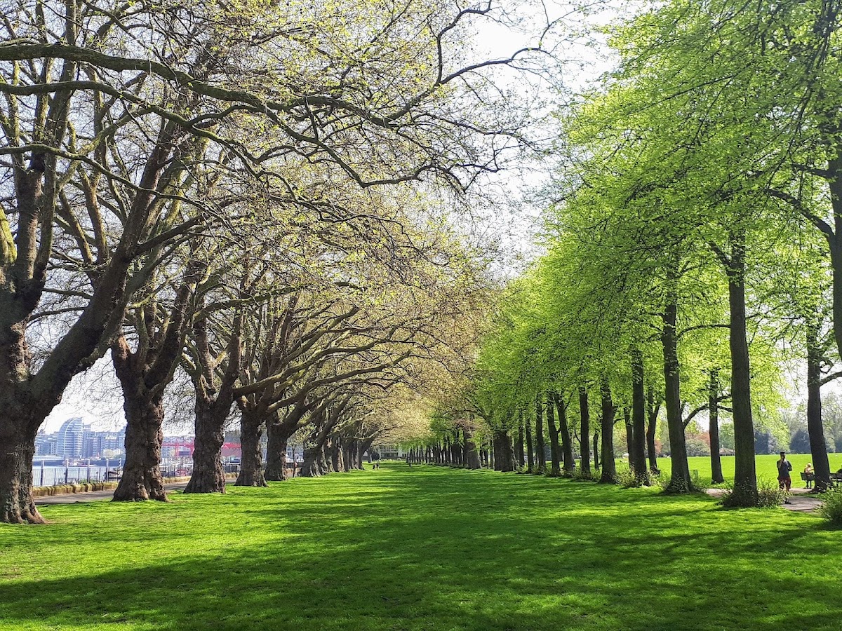 Wandsworth Park