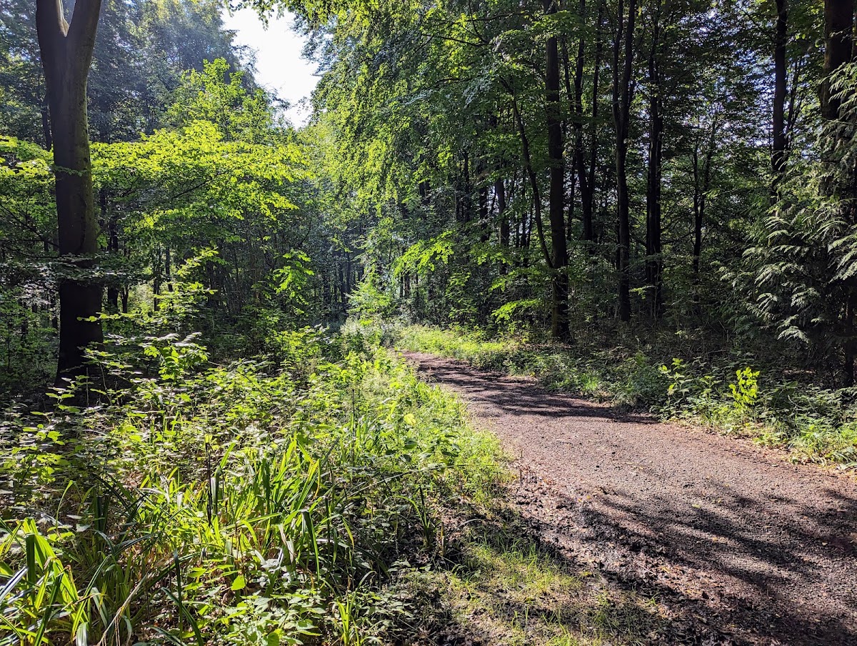 West Woods