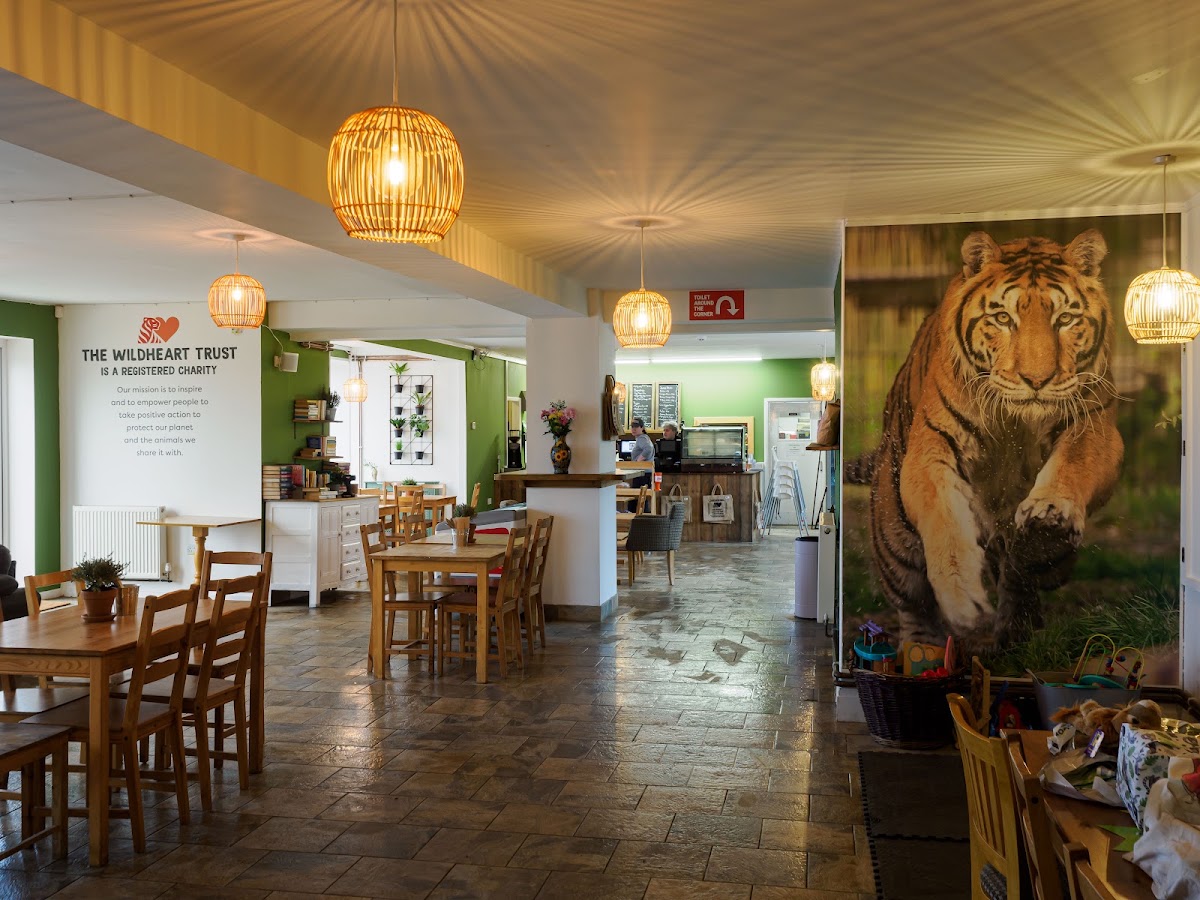 Wildheart Cafe