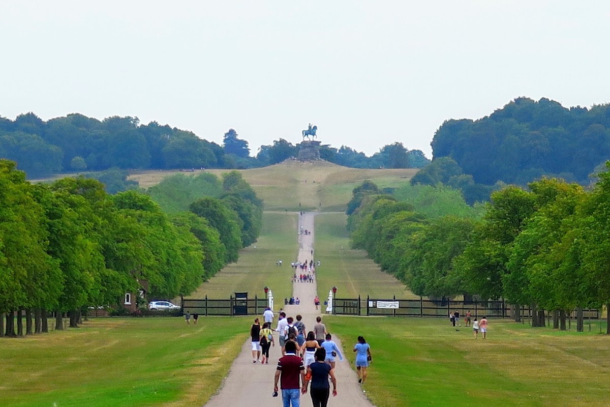 Windsor Great Park (The Long Walk)