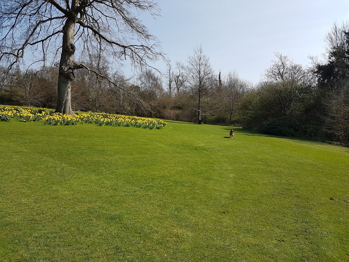 Withdean Park