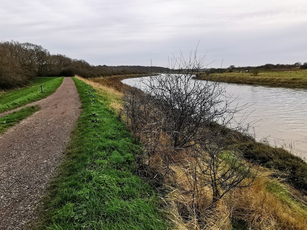 Wivenhoe Trail