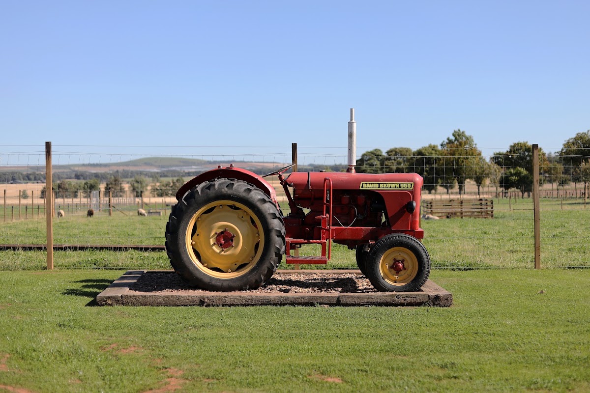 Westerton Farmers — pumpkin patch photo 2