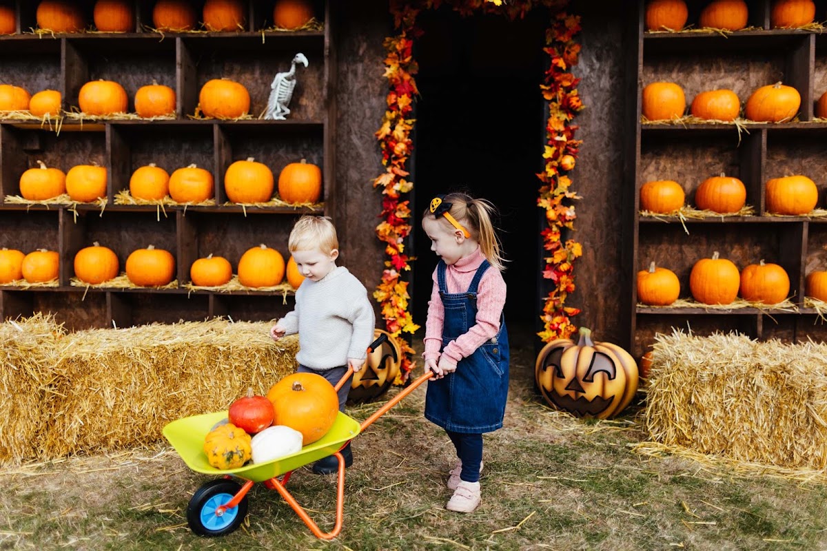 Frosts Pumpkin Patch