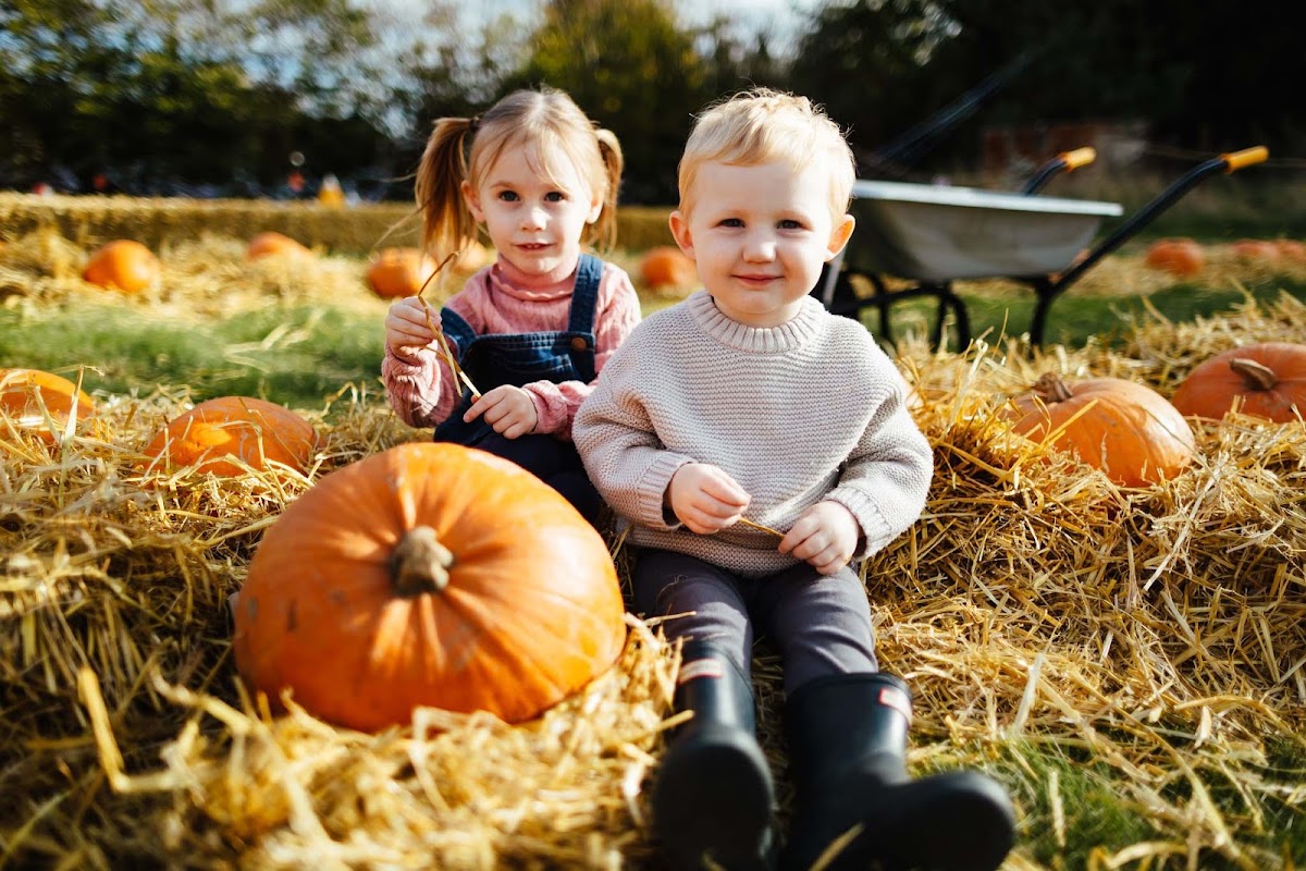 Frosts Pumpkin Patch — pumpkin patch photo 5