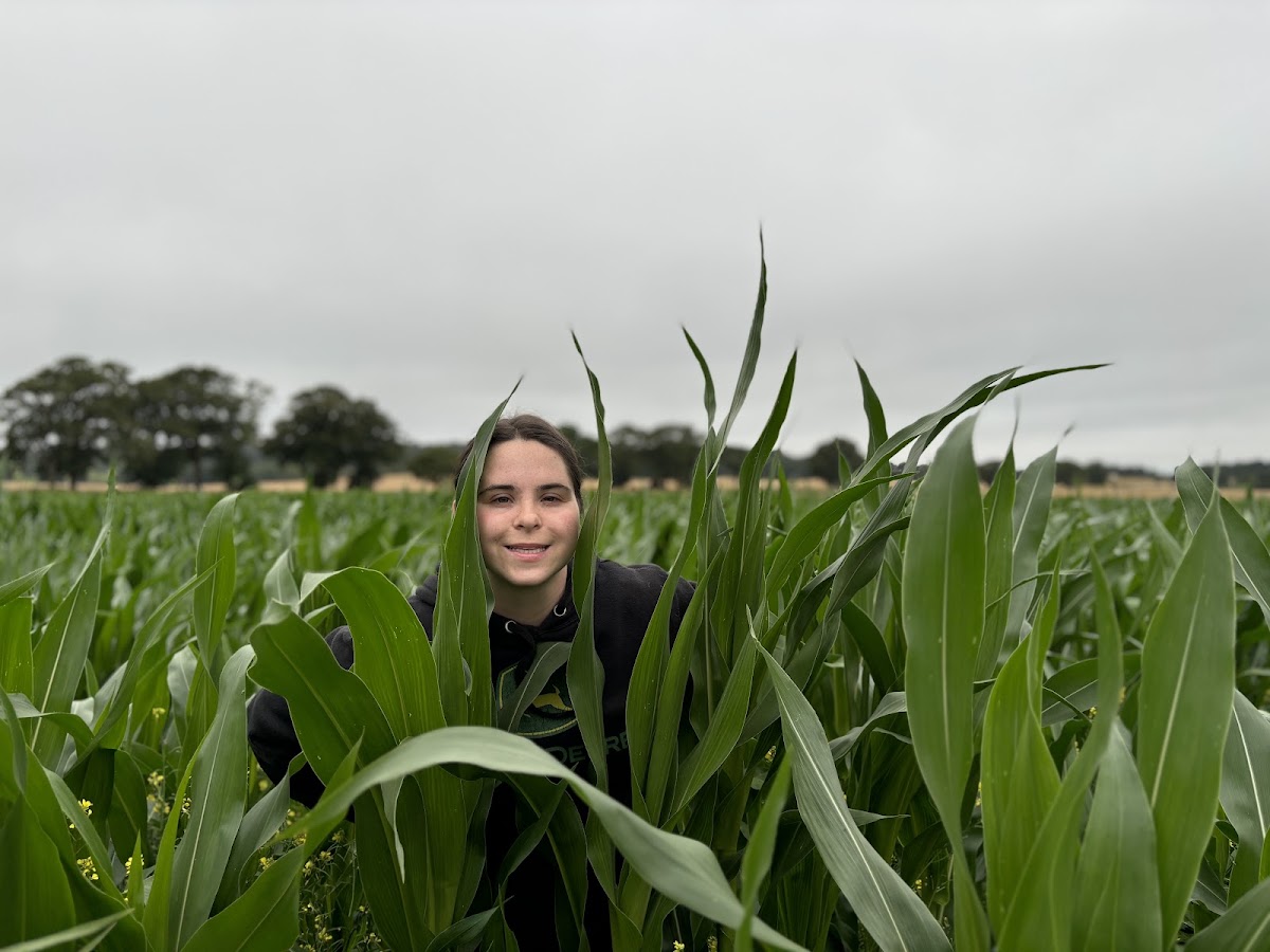 Berkshire Farm Girl