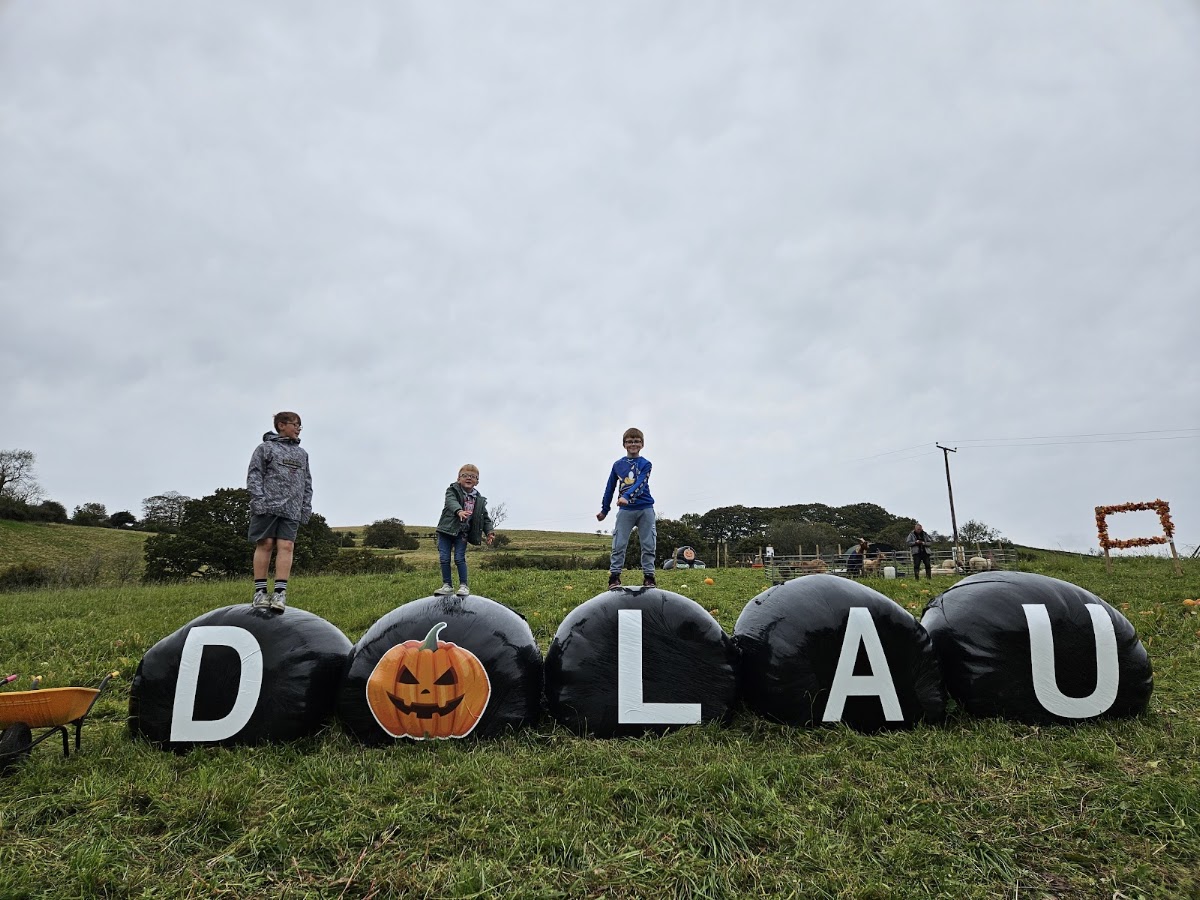 The Bridgend Pumpkin Patch (Dolau Ifan Ddu Farm)