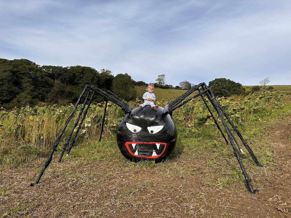 The Bridgend Pumpkin Patch (Dolau Ifan Ddu Farm) — pumpkin patch photo 2