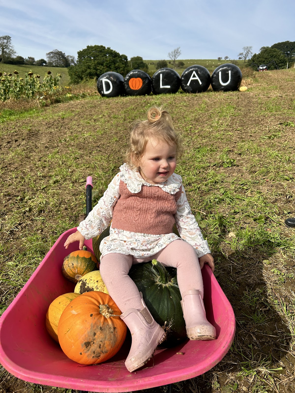 The Bridgend Pumpkin Patch (Dolau Ifan Ddu Farm) — pumpkin patch photo 4