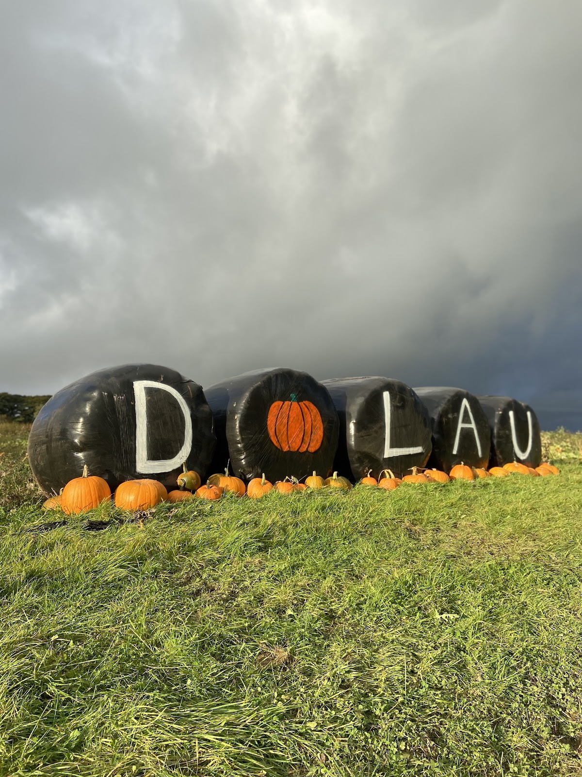 The Bridgend Pumpkin Patch (Dolau Ifan Ddu Farm) — pumpkin patch photo 5