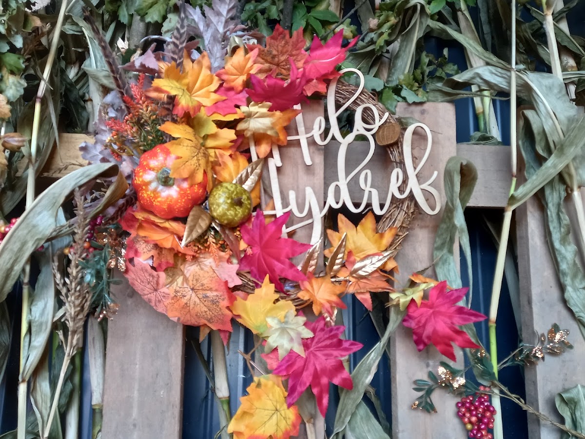 Pwmpenni Plas Pumpkins — pumpkin patch photo 4