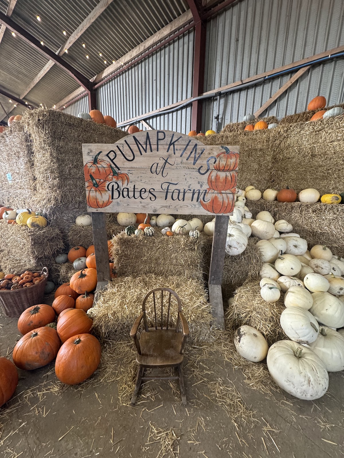 Bates Farm — pumpkin patch photo 3