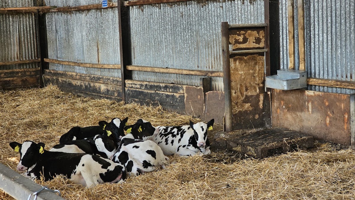 Seven Sisters Farm