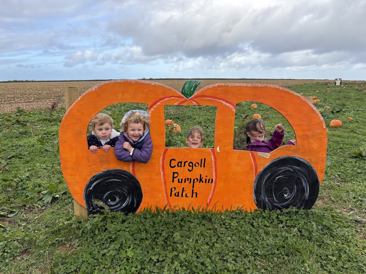 Cargoll Pumpkin Patch