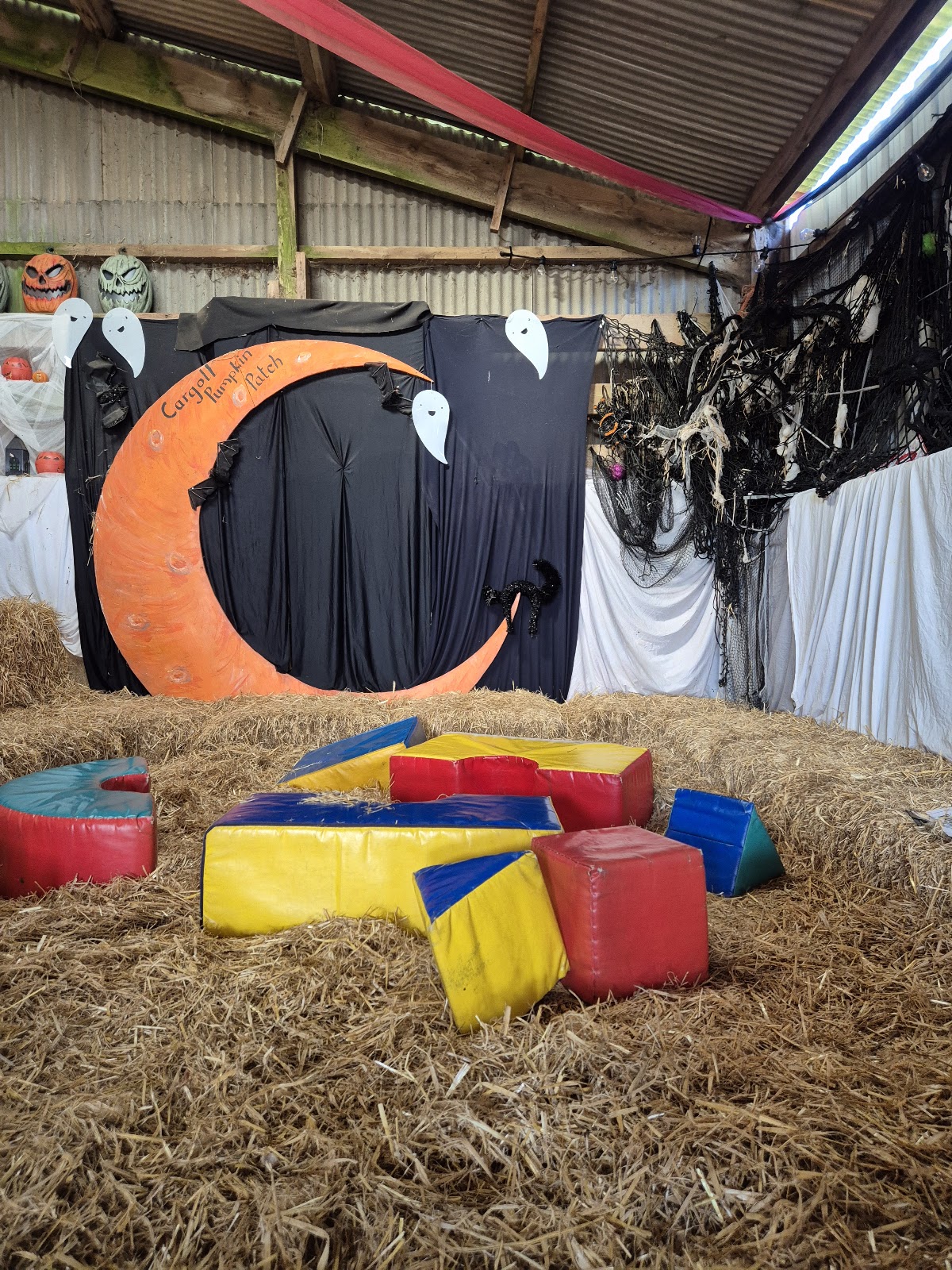Cargoll Pumpkin Patch — pumpkin patch photo 5