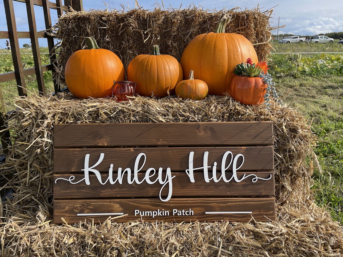 Kinley Hill Pumpkin Patch