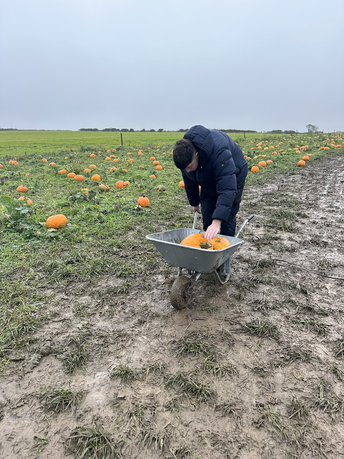 Kinley Hill Pumpkin Patch — pumpkin patch photo 4