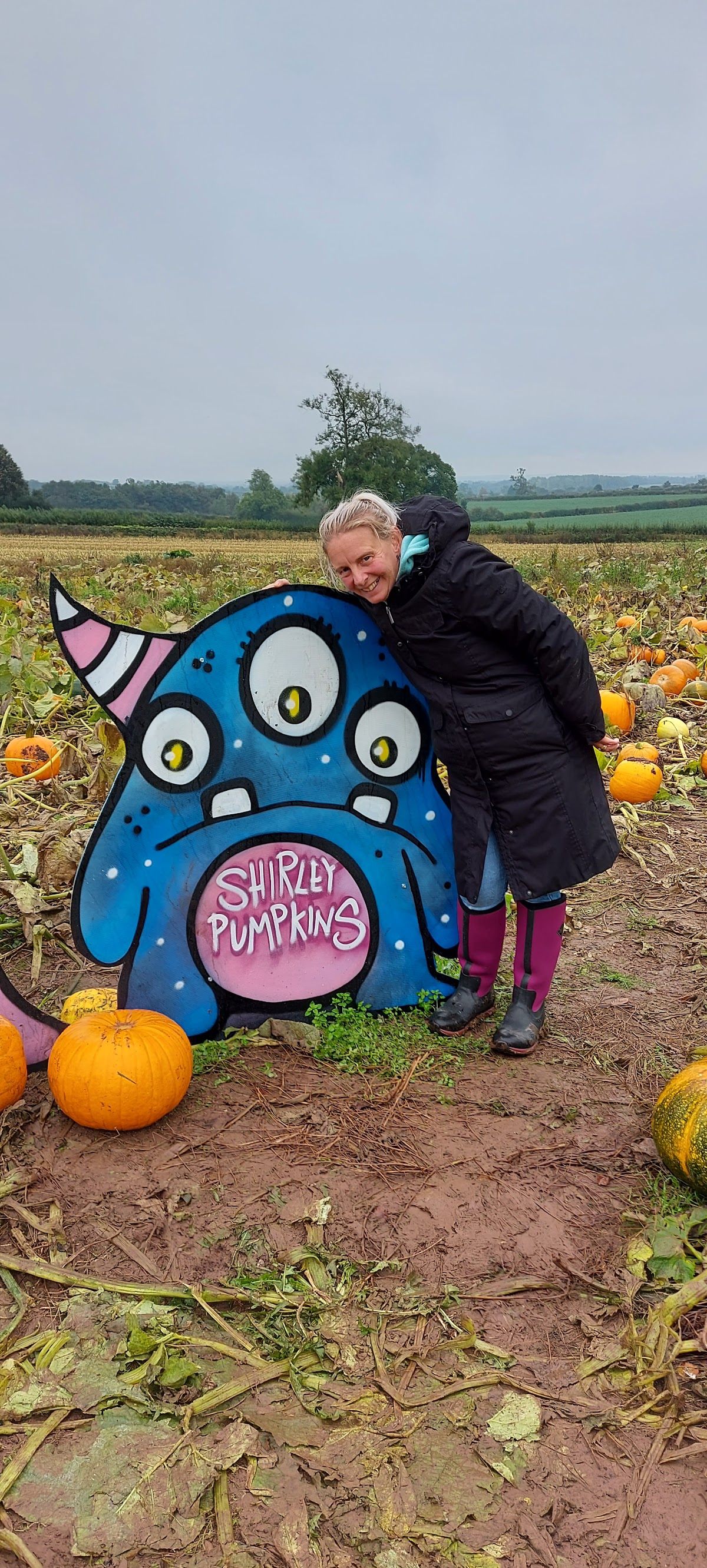 Shirley Pumpkins — pumpkin patch photo 4