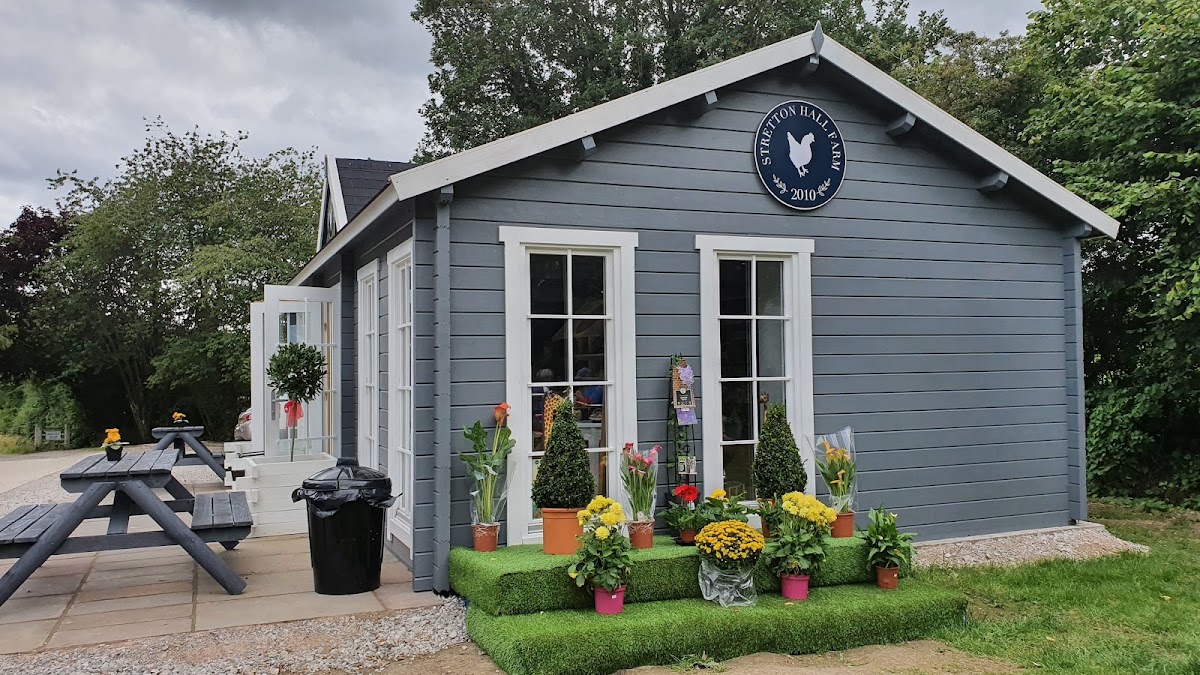 Stretton Hall Farm Shop — pumpkin patch photo 2