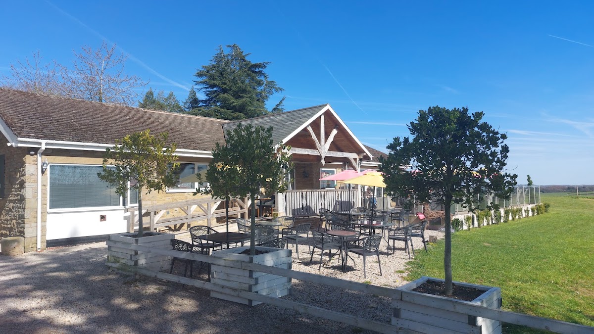 Stretton Hall Farm Shop — pumpkin patch photo 4