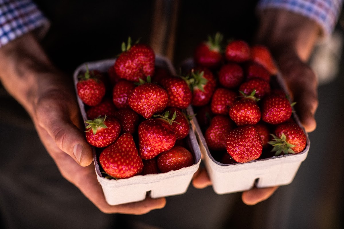 Strawberry Fields Pumpkin Fest