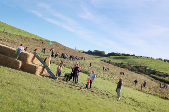Bincombe Bumps — pumpkin patch photo 5