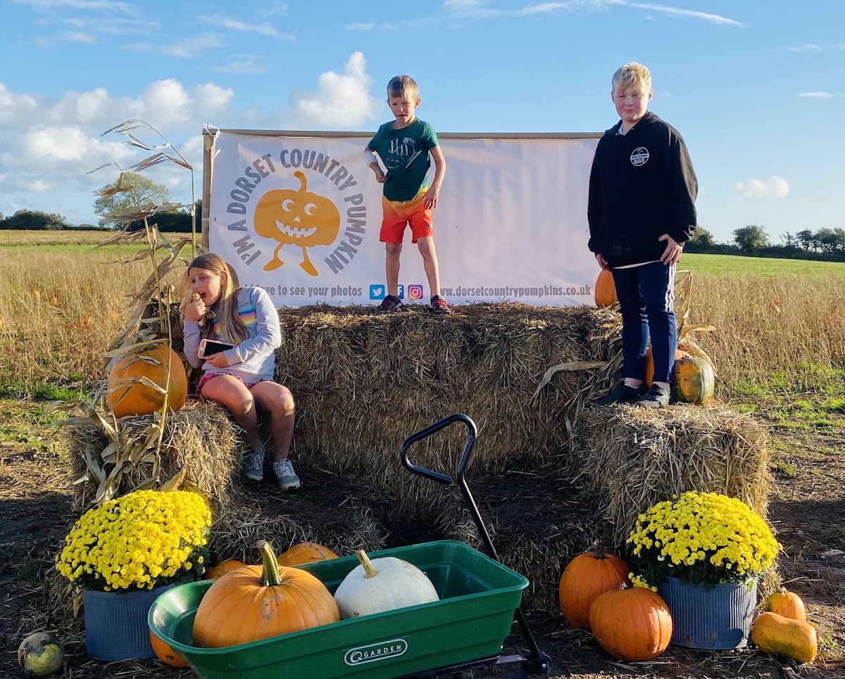Dorset Country Pumpkins (Longclose Farm) — pumpkin patch photo 2
