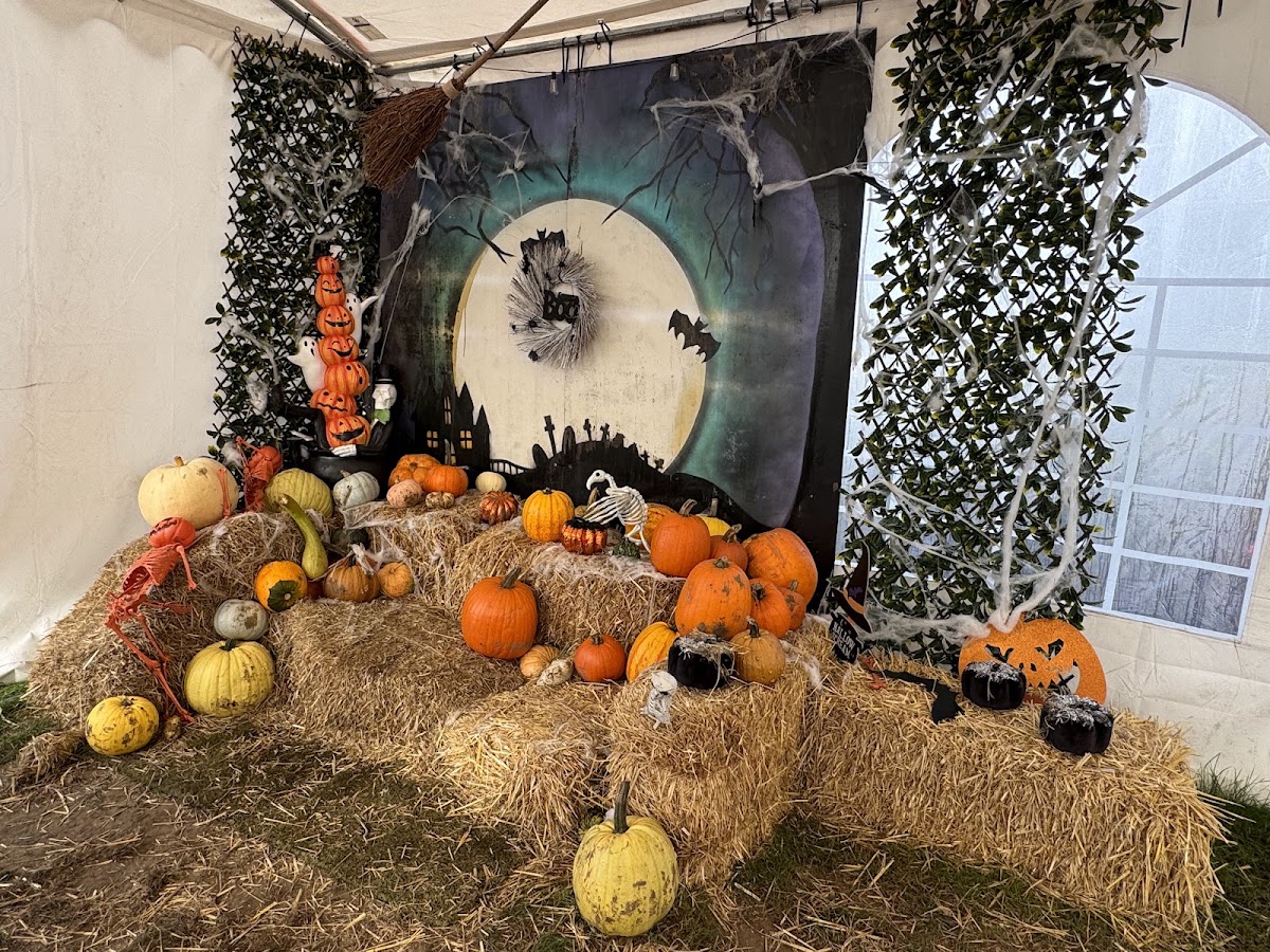 Sandy Bottom Farm Pumpkins