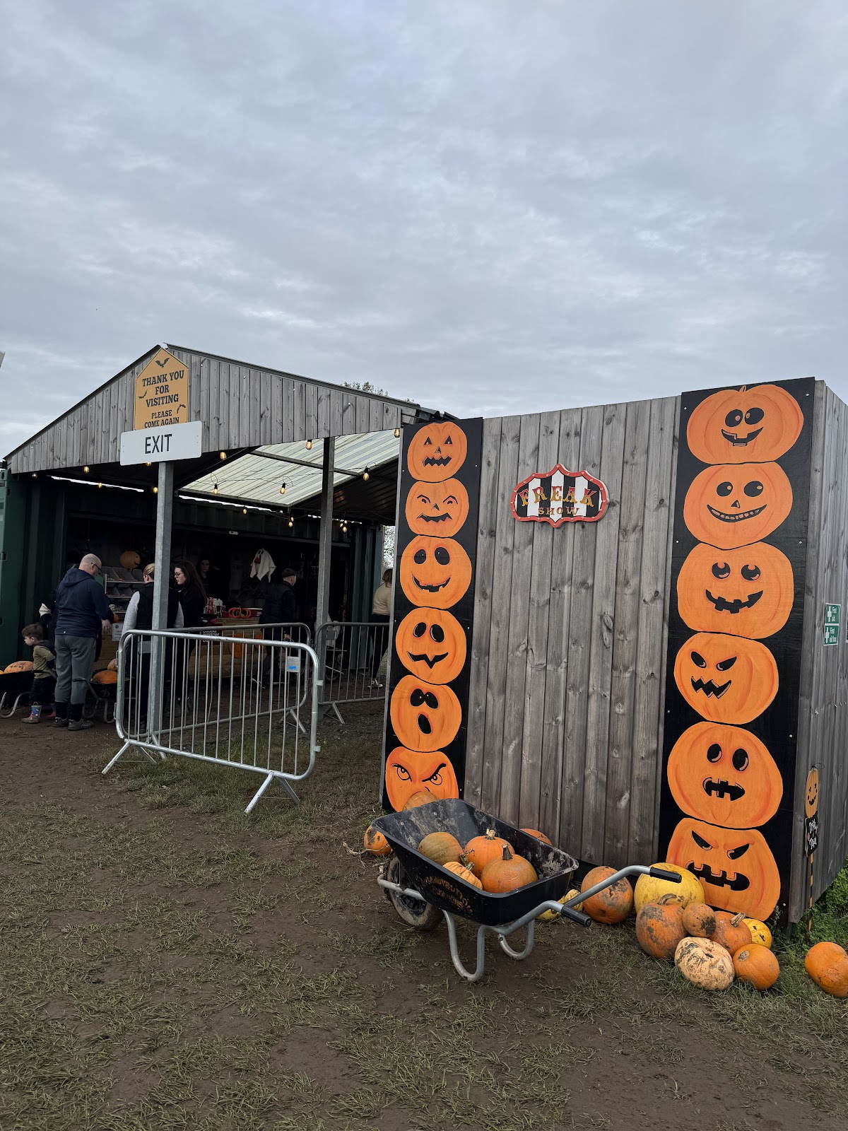 Sandy Bottom Farm Pumpkins — pumpkin patch photo 2