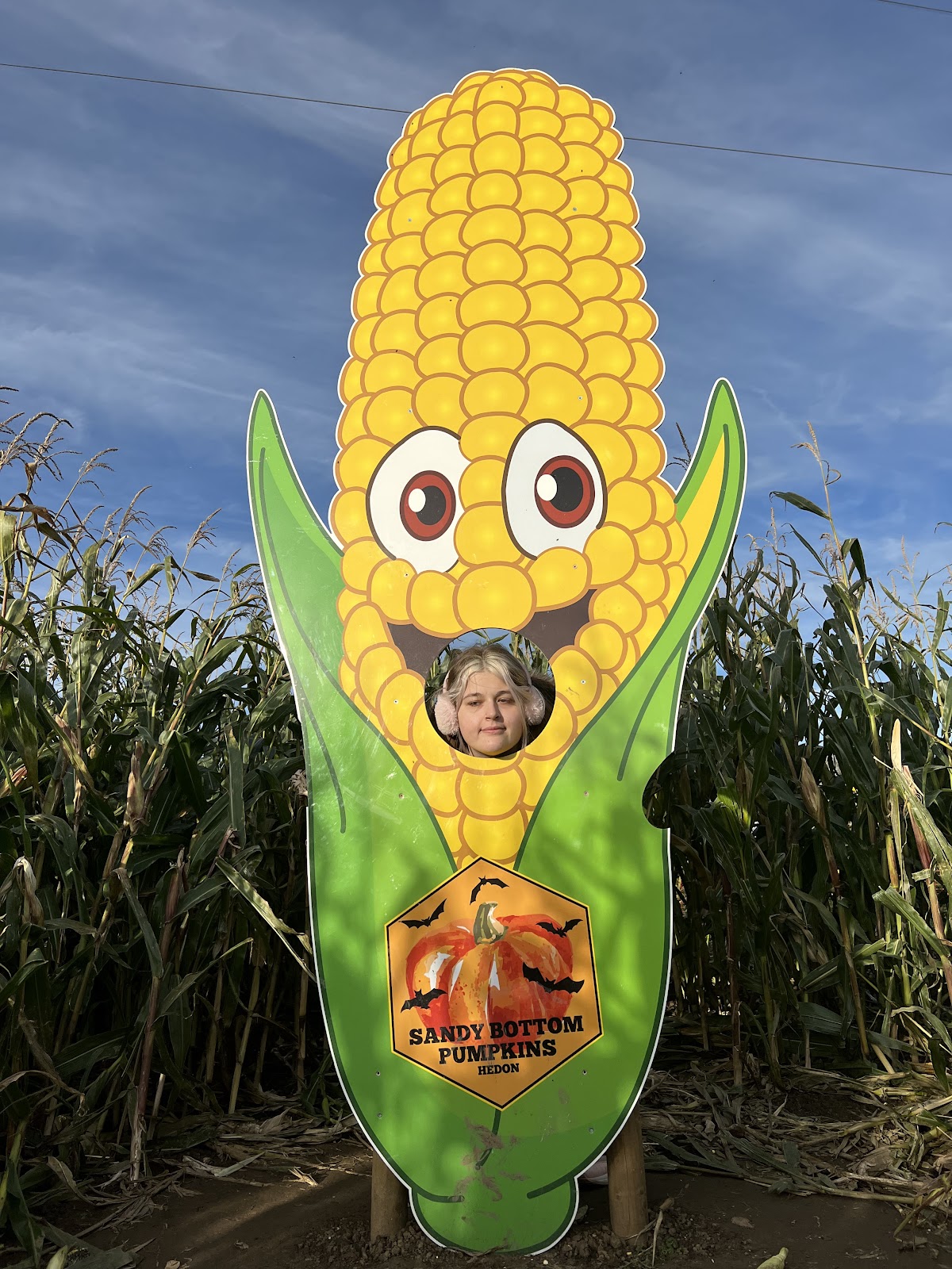 Sandy Bottom Farm Pumpkins — pumpkin patch photo 5