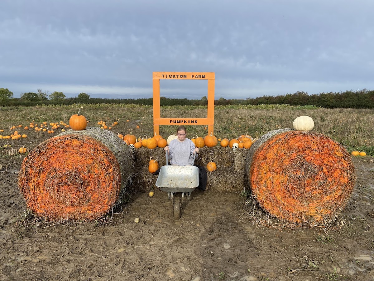 Tickton Farm — pumpkin patch photo 2