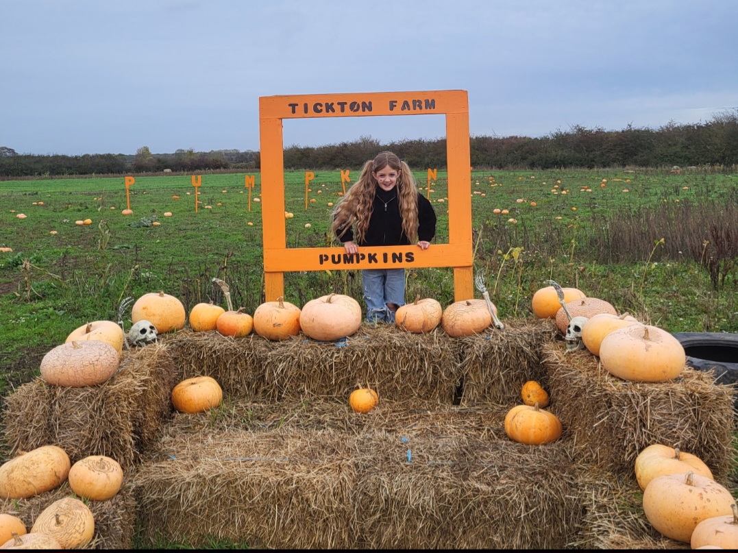 Tickton Farm — pumpkin patch photo 3