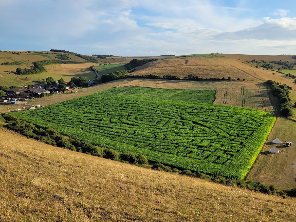 South Farm Rodmell — pumpkin patch photo 2