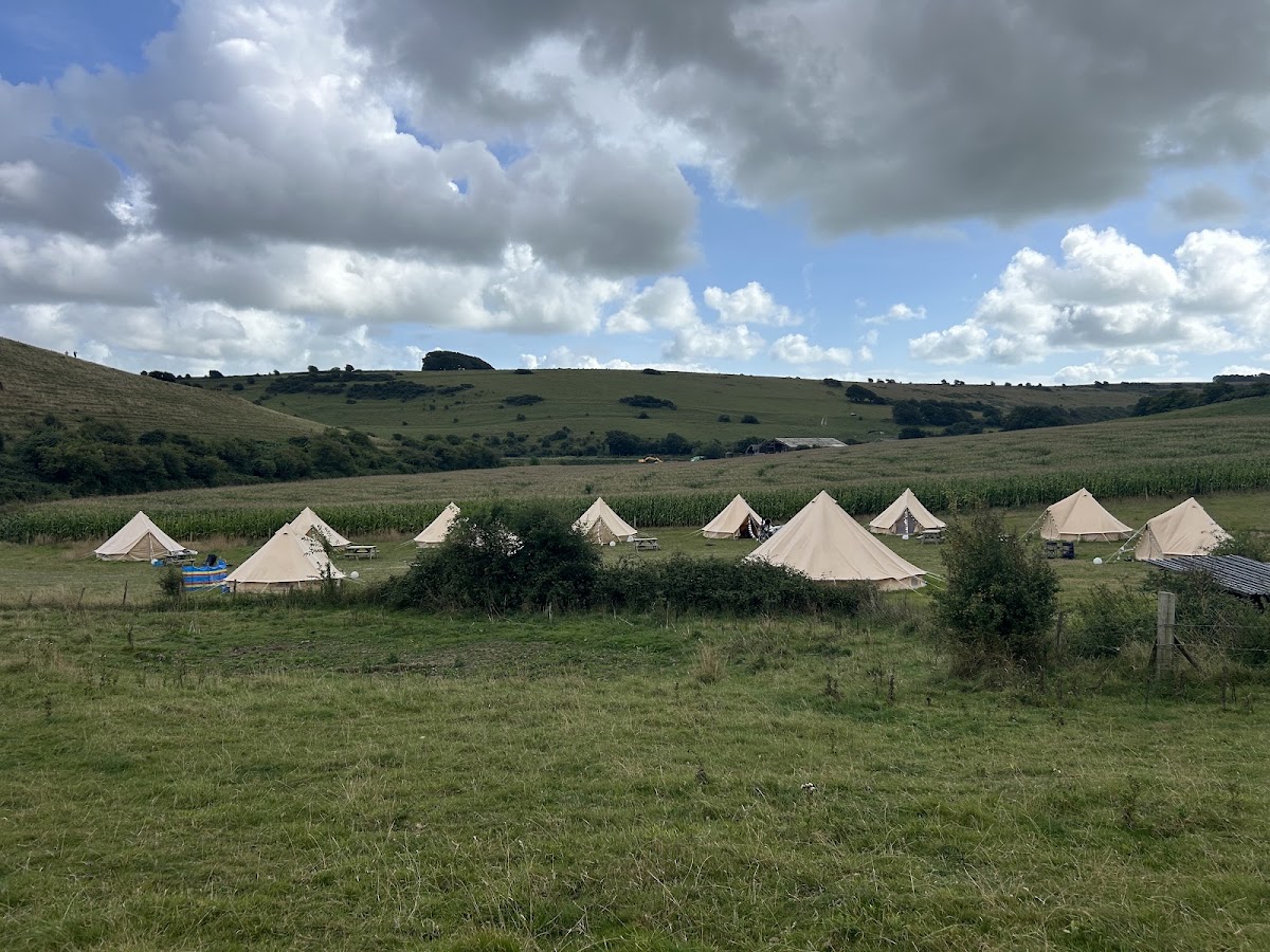 South Farm Rodmell — pumpkin patch photo 3
