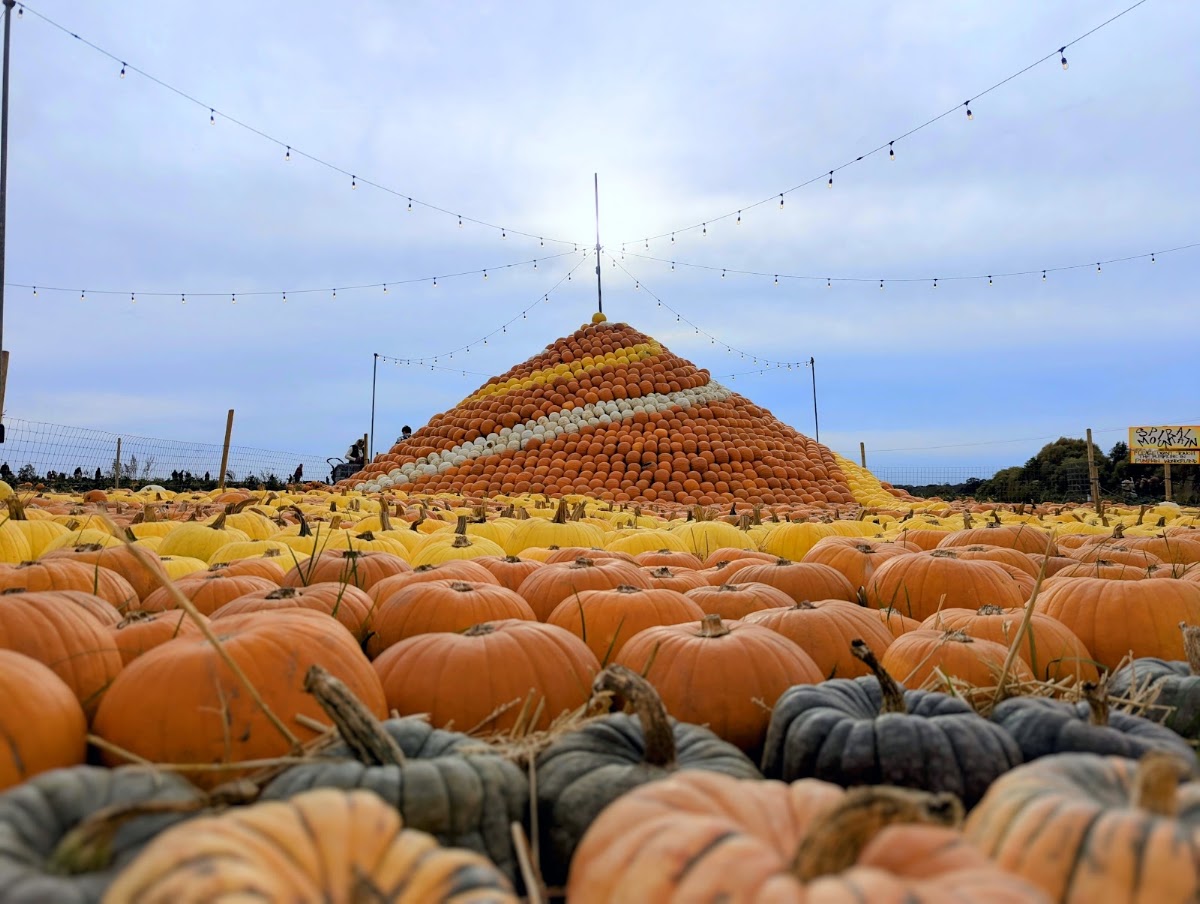 Hatter's Farm