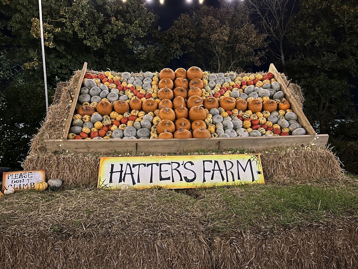 Hatter's Farm — pumpkin patch photo 3
