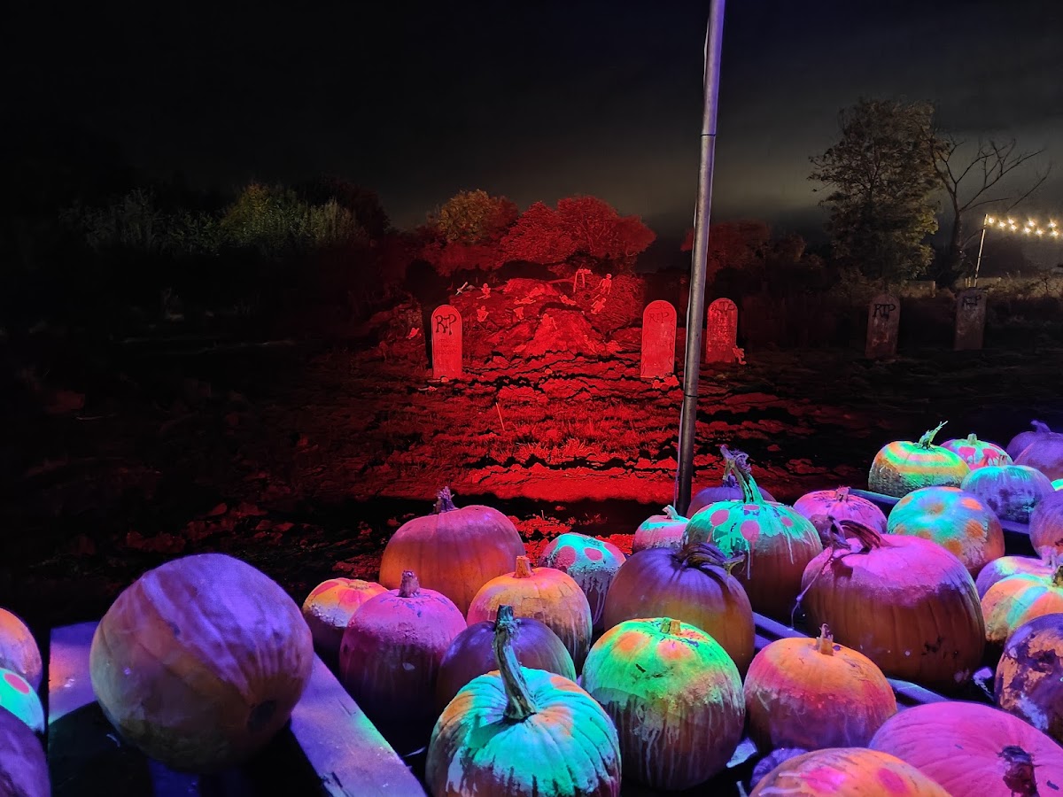 Hatter's Farm — pumpkin patch photo 4