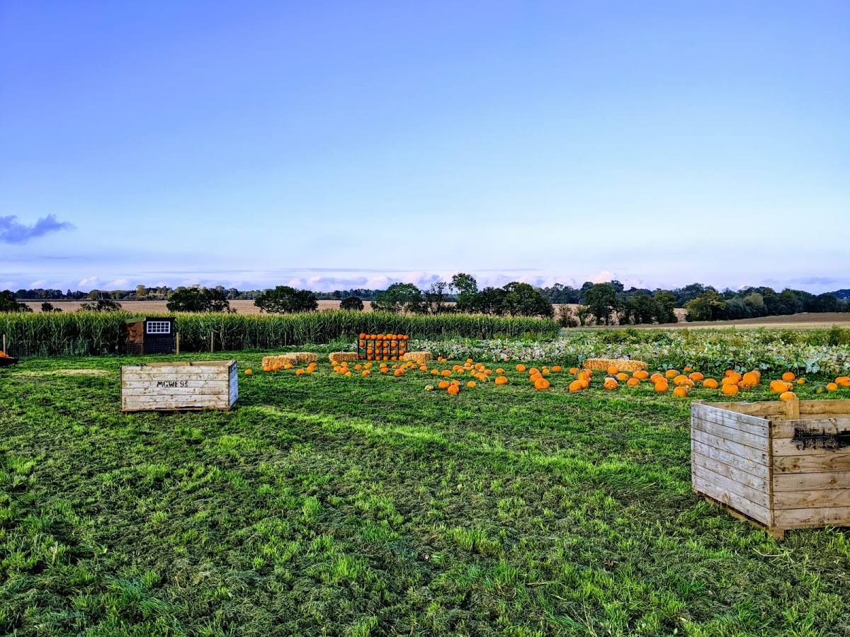 Hatter's Farm — pumpkin patch photo 5