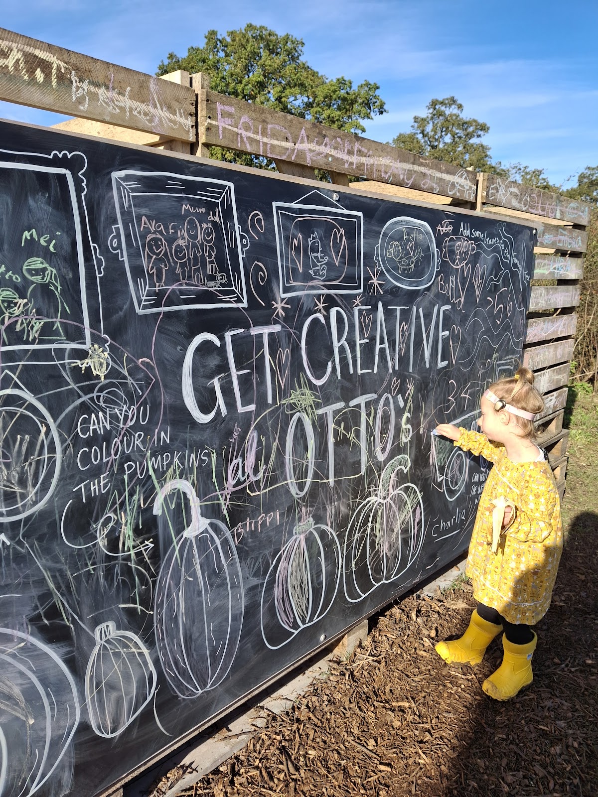 Otto's Pumpkin Patch — pumpkin patch photo 5